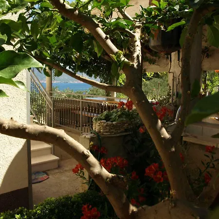 Appartement Ljilja Sea View *