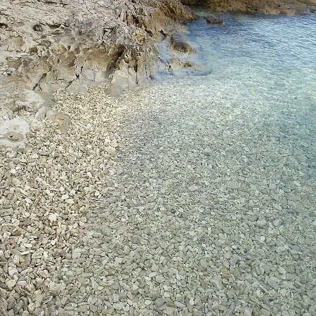 Ljilja Sea View