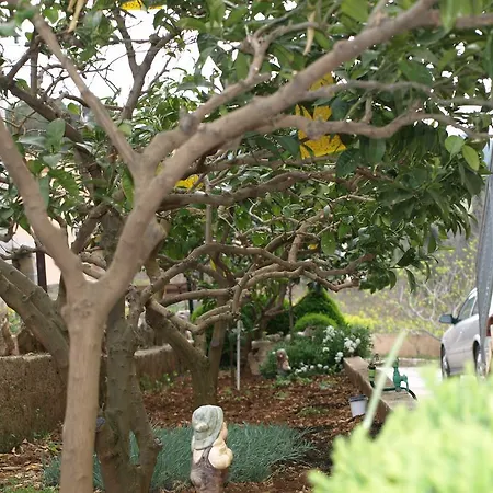 Ljilja Sea View סלאטינה