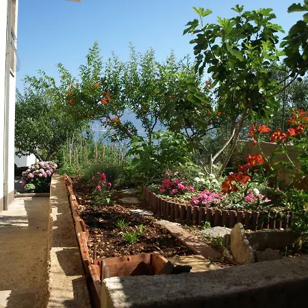 Ljilja Sea View דירה *