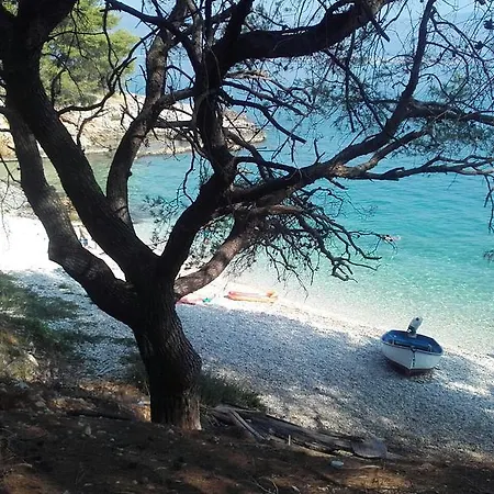 Ljilja Sea View 아파트 슬라티네